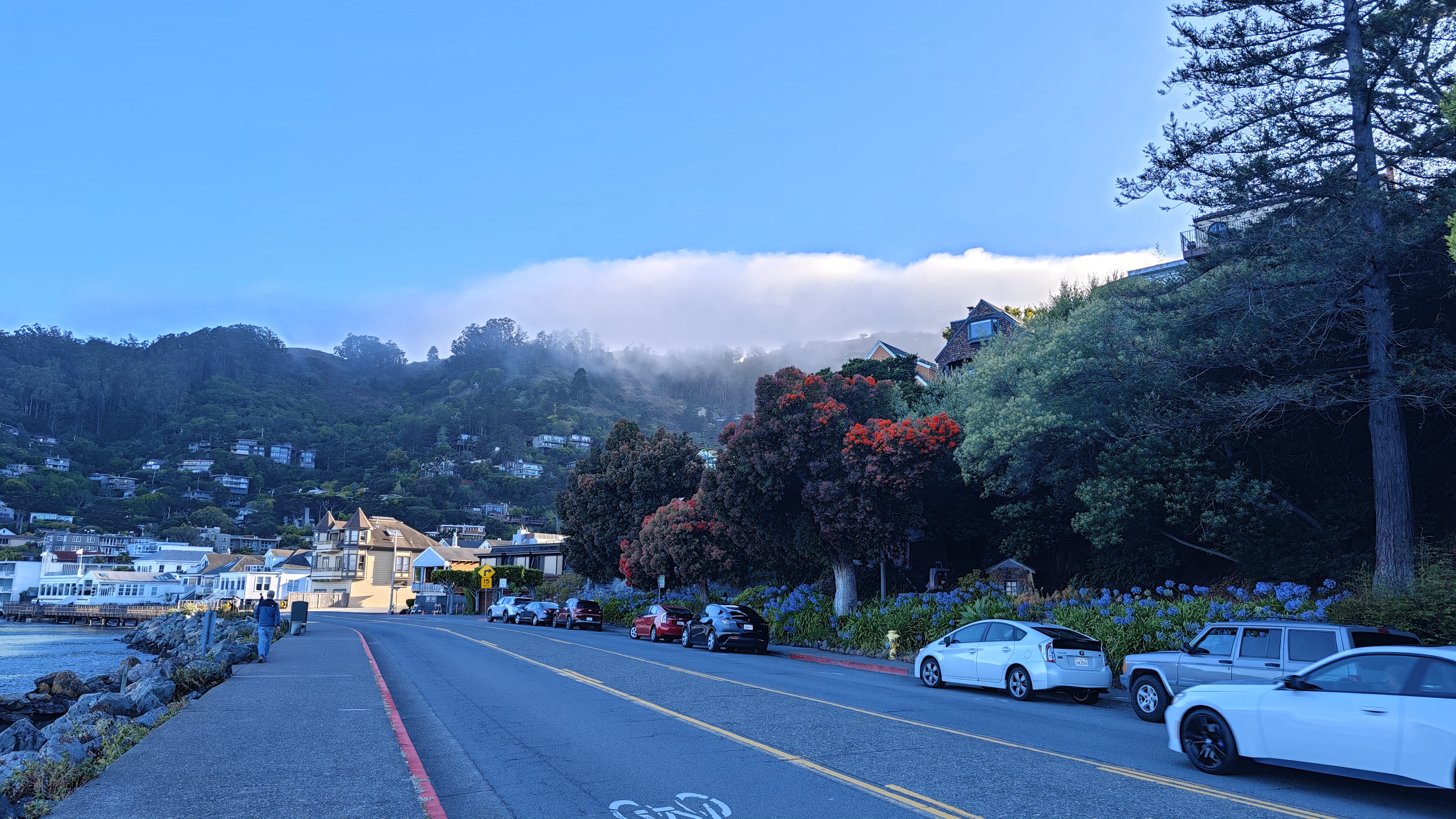 Sausalito 的金色海湾